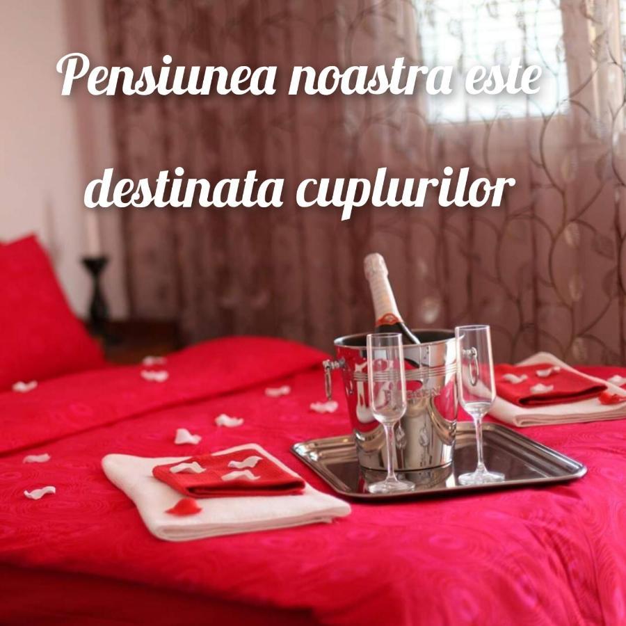 Vila Floarea Etiquette 科斯蒂内什蒂 外观 照片